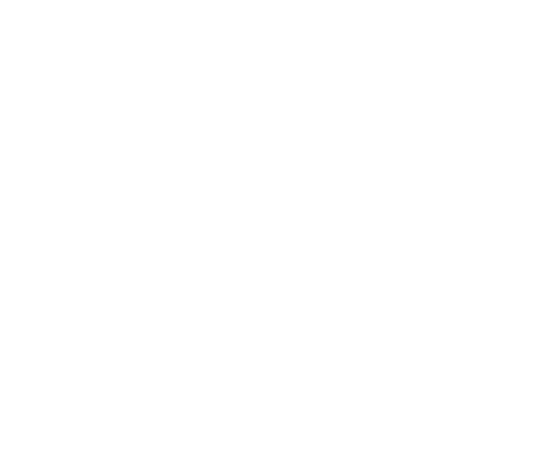 Security International